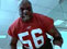 Office Linebacker